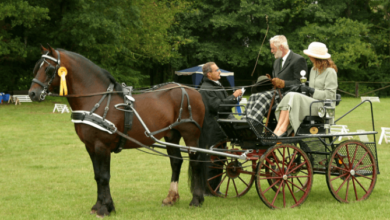 How can one prepare for a combined driving event?