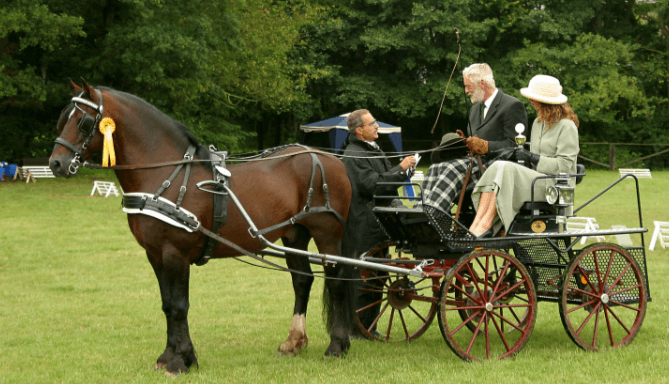 How can one prepare for a combined driving event?