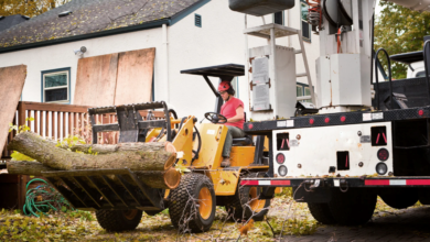 How Tree Removal Boosts Property Value Before Selling