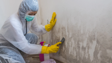 Why DIY Mold Removal is Risky and Should Be Left to Experts