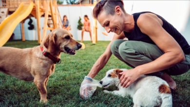 How Often Should You Schedule a Dog Waste Cleanup Service for Maximum Efficiency?
