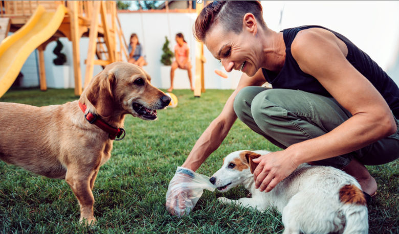 How Often Should You Schedule a Dog Waste Cleanup Service for Maximum Efficiency?