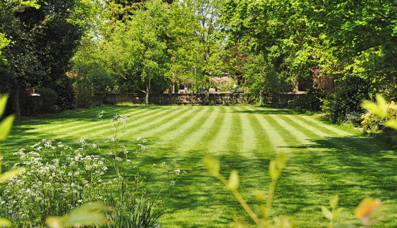The Benefits of Regular Professional Lawn Care