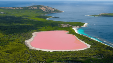 Some Of the Very Best Perth Travel Attractions