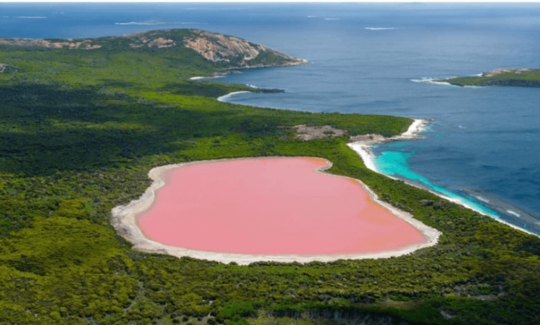 Some Of the Very Best Perth Travel Attractions
