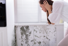 The Importance of Early Mold Detection and Prevention Strategies