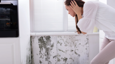 The Importance of Early Mold Detection and Prevention Strategies
