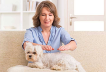 How Dogs Enhance Healing Through Occupational Therapy Programs