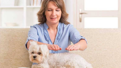 How Dogs Enhance Healing Through Occupational Therapy Programs