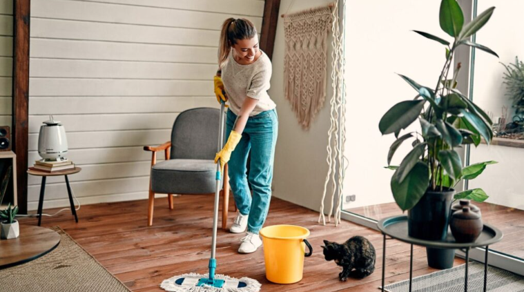 Creating a Cleaner Living Space