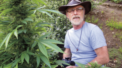 The Green Revolution in Dispensary Cannabis