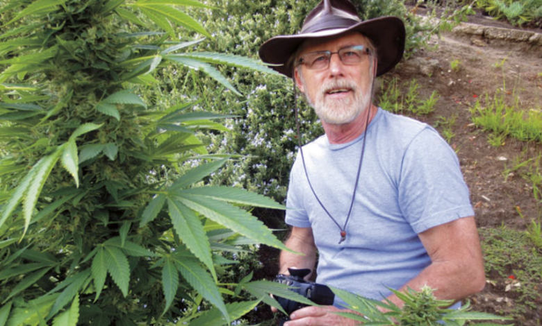 The Green Revolution in Dispensary Cannabis